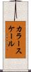 カラー・スケール Scroll