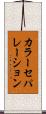 カラー・セパレーション Scroll