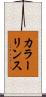 カラー・リンス Scroll