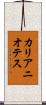 カリアニオテス Scroll