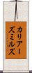 カリアーズミルズ Scroll