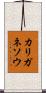 カリガネソウ Scroll