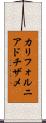 カリフォルニア・ドチザメ Scroll