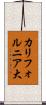 カリフォルニア大 Scroll