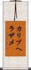 カリブヘラザメ Scroll