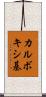 カルボキシ基 Scroll