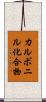 カルボニル化合物 Scroll