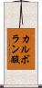 カルボラン酸 Scroll