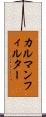 カルマンフィルター Scroll