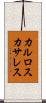 カルロスカサレス Scroll