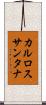 カルロスサンタナ Scroll