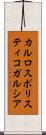 カルロスポリスティコガルシア Scroll
