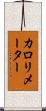 カロリメーター Scroll