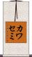 カワセミ Scroll