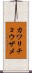 カワリチョウザメ Scroll