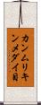 カンムリキンメダイ目 Scroll