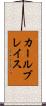 カールブレイス Scroll