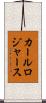 カールロジャース Scroll