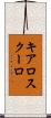 キアロスクーロ Scroll