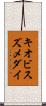 キオビスズメダイ Scroll