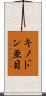 キノドン亜目 Scroll