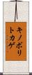 キノボリトカゲ Scroll