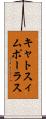 キャトスィムポーラス Scroll