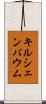 キルシェンバウム Scroll