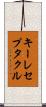 キーレセプタクル Scroll