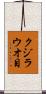 クジラウオ目 Scroll