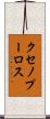クセノプーロス Scroll