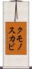 クモノスカビ Scroll
