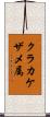 クラカケザメ属 Scroll