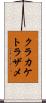 クラカケトラザメ Scroll