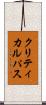 クリティカル・パス Scroll