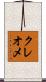 クレオメ Scroll