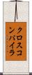 クロスコンパイラ Scroll