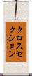 クロスセクション Scroll