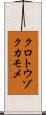 クロトウゾクカモメ Scroll