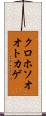 クロホソオオトカゲ Scroll