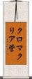 クロマクリア管 Scroll