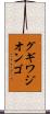 グギワジオンゴ Scroll