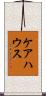 ケアハウス Scroll