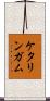 ケタリンガム Scroll