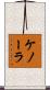 ケノーラ Scroll