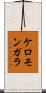 ケロモンガラ Scroll