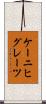ケーニヒグレーツ Scroll