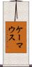 ケーマウス Scroll