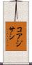 コアジサシ Scroll