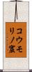 コウモリノ窟 Scroll